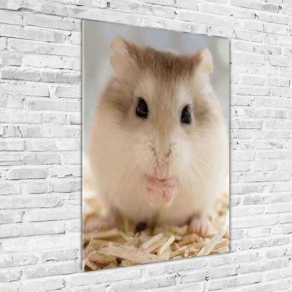 Verticale foto op glas Hamster
