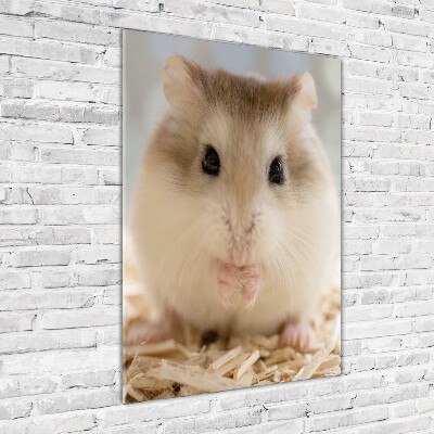 Verticale foto op glas Hamster