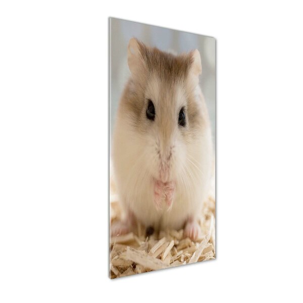 Verticale foto op glas Hamster