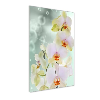 Verticale foto op glas Orchidee