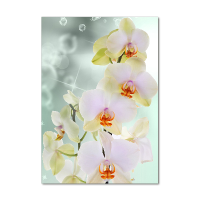 Verticale foto op glas Orchidee