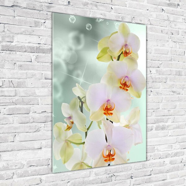 Verticale foto op glas Orchidee