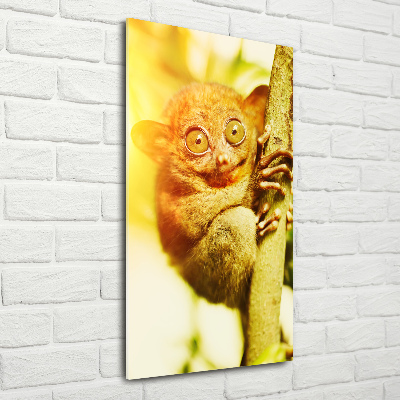 Verticale glasfoto Spooktarsier