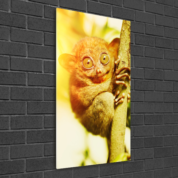 Verticale glasfoto Spooktarsier