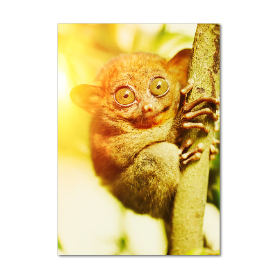 Verticale glasfoto Spooktarsier