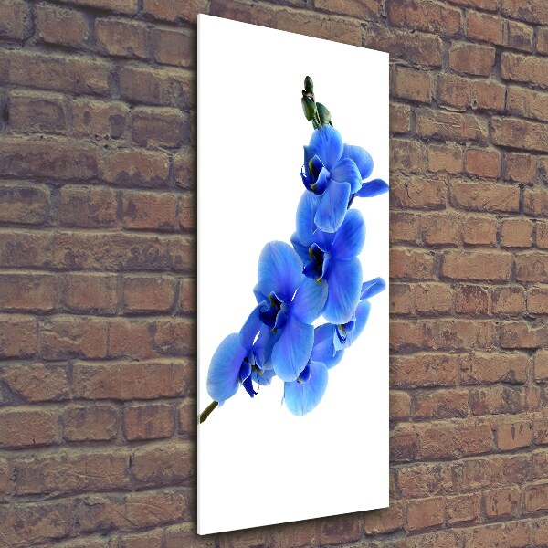 Verticale glasfoto Blauwe orchidee
