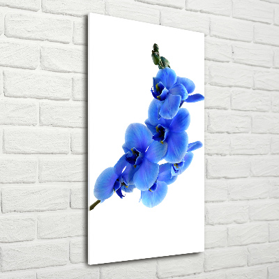 Verticale glasfoto Blauwe orchidee