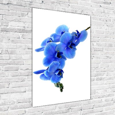 Verticale glasfoto Blauwe orchidee