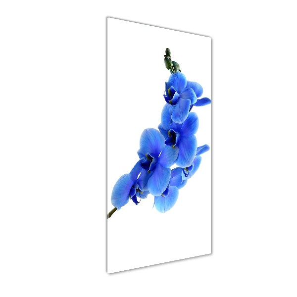 Verticale glasfoto Blauwe orchidee