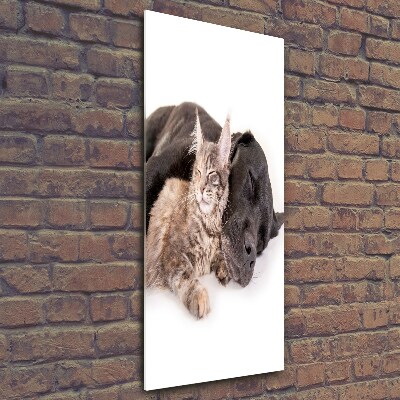 Verticale glasfoto Hond en kat