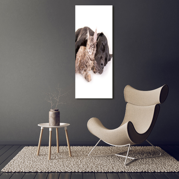 Verticale glasfoto Hond en kat
