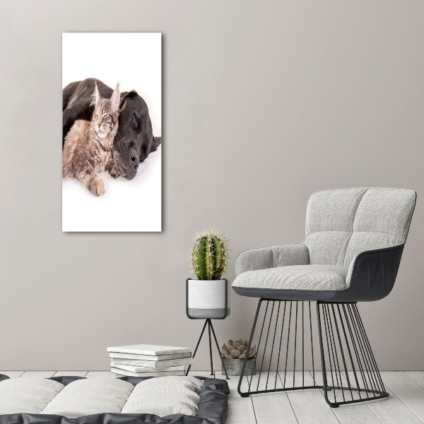 Verticale glasfoto Hond en kat