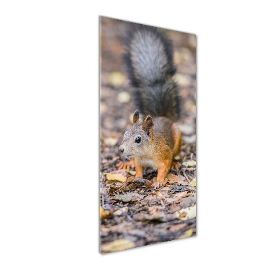 Verticale glasfoto Eekhoorn in het bos