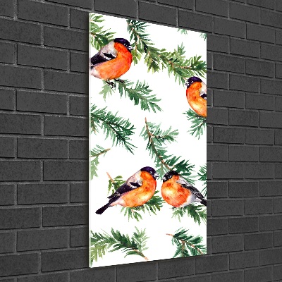 Verticale glasfoto Roodborstje en naaldbomen