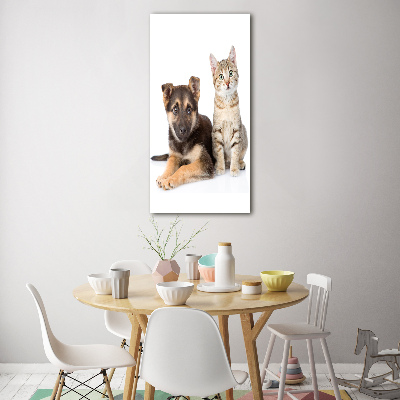 Verticale foto op glas Hond en kat