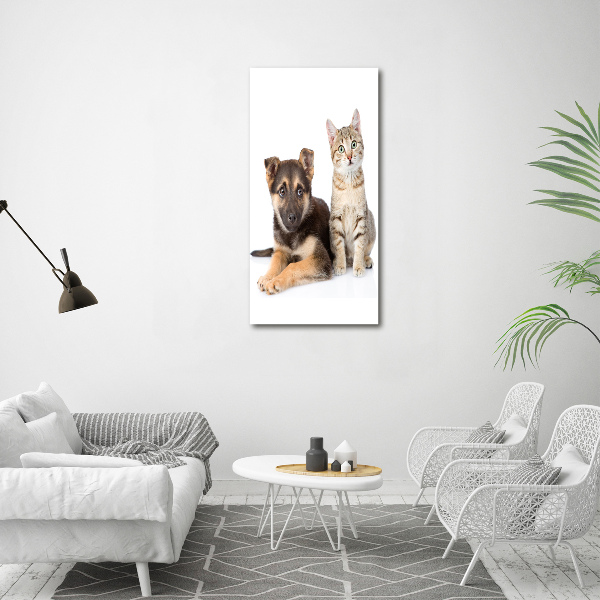 Verticale foto op glas Hond en kat