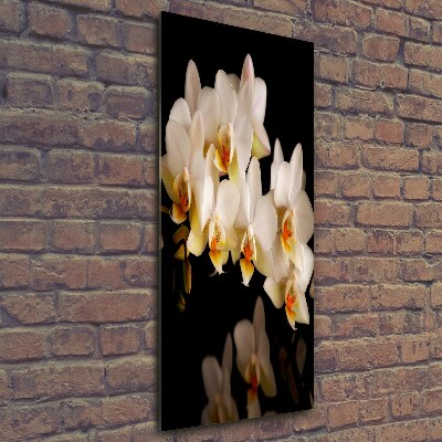 Verticale glasfoto Orchidee