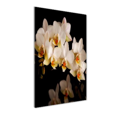 Verticale glasfoto Orchidee