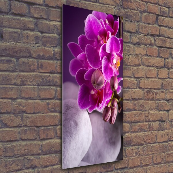 Verticaal glasschilderij Roze orchidee
