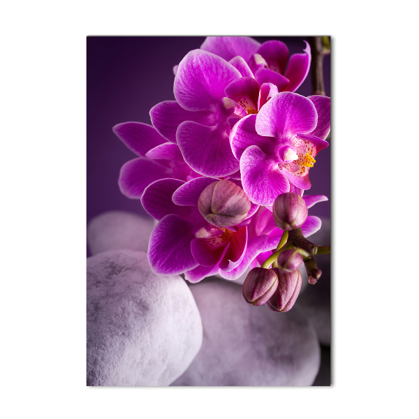 Verticaal glasschilderij Roze orchidee