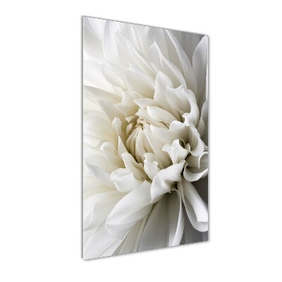 Verticale foto op glas Witte dahlia