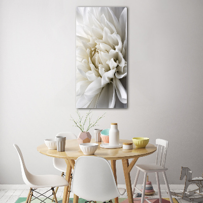 Verticale foto op glas Witte dahlia
