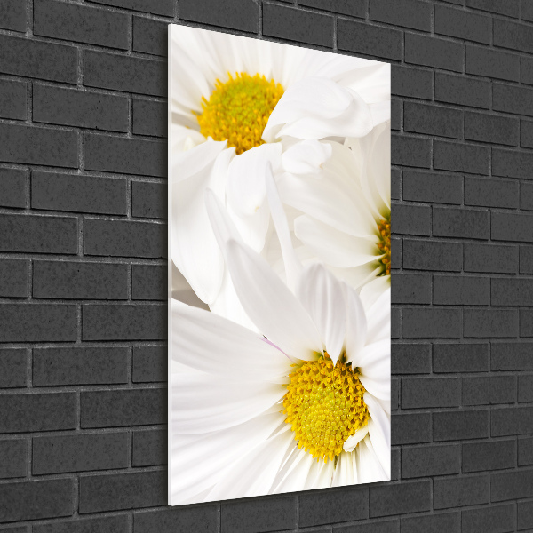 Verticale glasfoto Madeliefjes