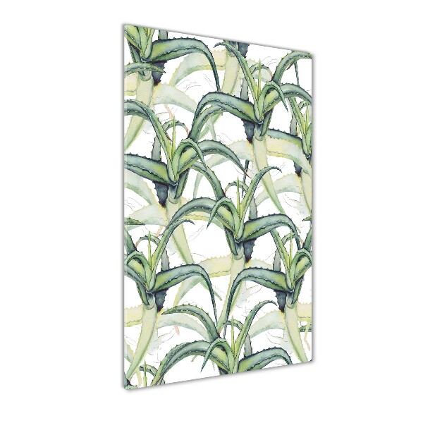 Verticale foto op glas Aloë