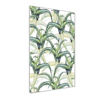 Verticale foto op glas Aloë