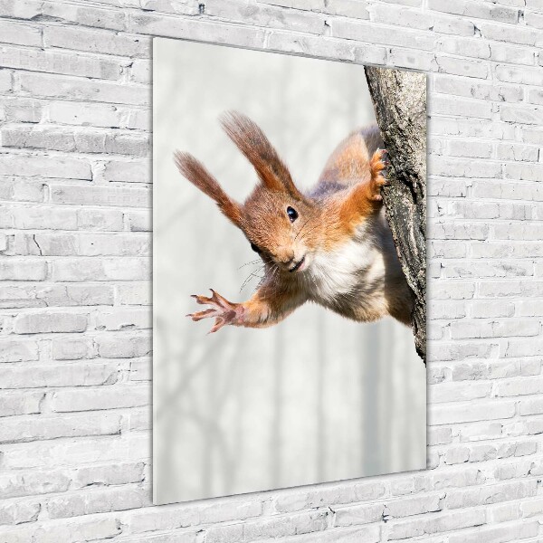 Verticale glasfoto Eekhoorn in een boom