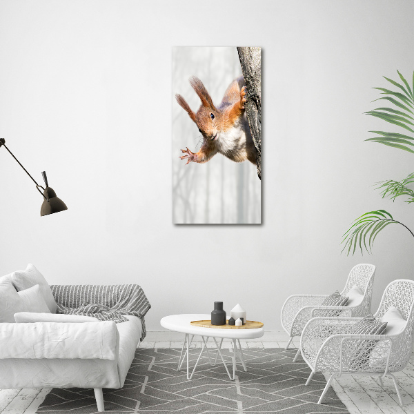 Verticale glasfoto Eekhoorn in een boom