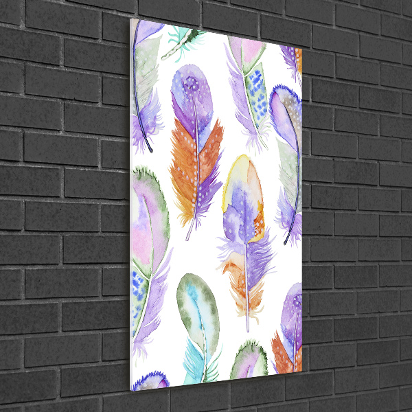 Verticale foto op glas Kleurrijke veren