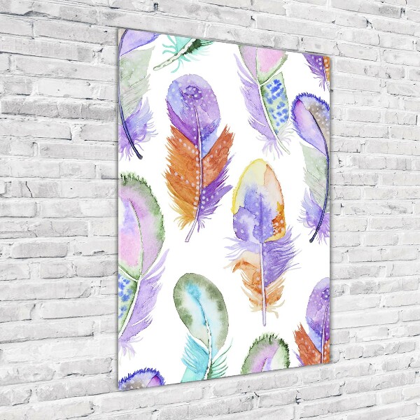 Verticale foto op glas Kleurrijke veren