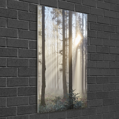 Verticale foto op glas Mist in het bos