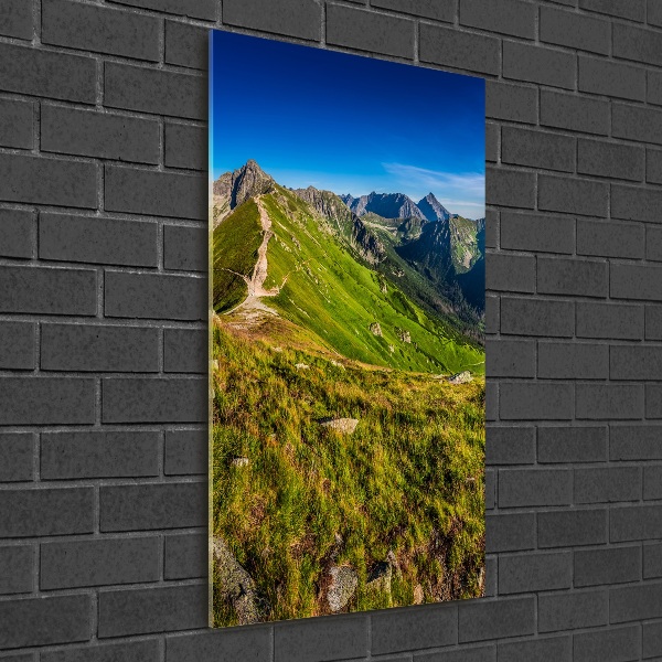 Verticale foto op glas Tatra-gebergte