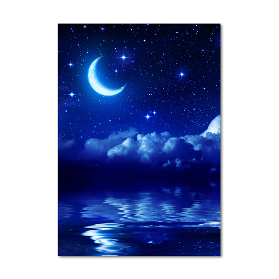 Verticaal glasschilderij De nachtelijke hemel