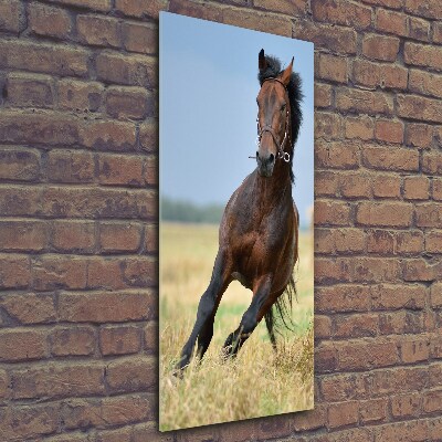 Verticale foto op glas Een paard in een veld