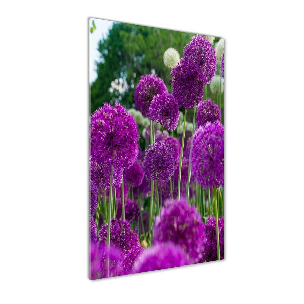 Verticale glasfoto Knoflookbloemen