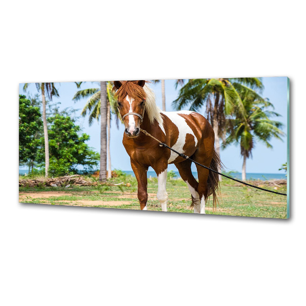 Achterwand keuken Gevlekt paard