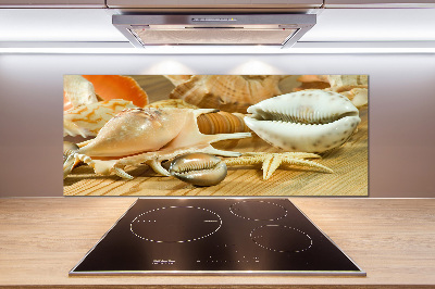 Spatscherm keuken Schelpen op hout