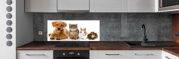 Spatplaat keuken Hond en kat