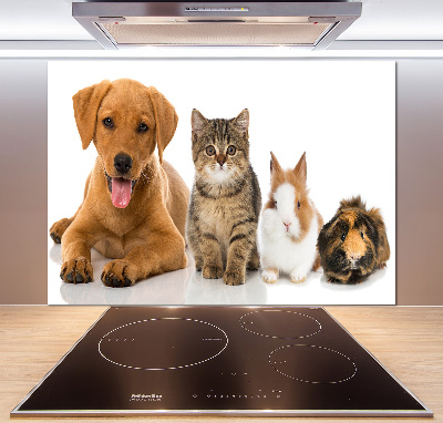 Spatplaat keuken Hond en kat