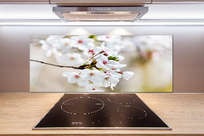 Achterwand keuken Kersenbloesems