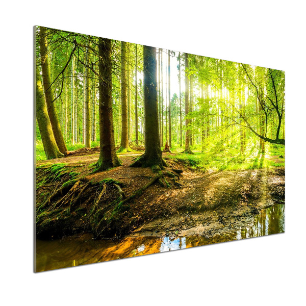 Spatscherm keuken Zonnestralen in het bos