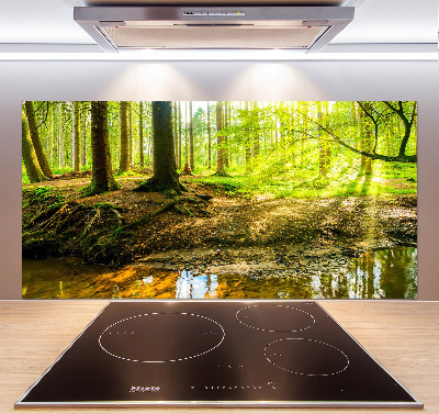 Spatscherm keuken Zonnestralen in het bos
