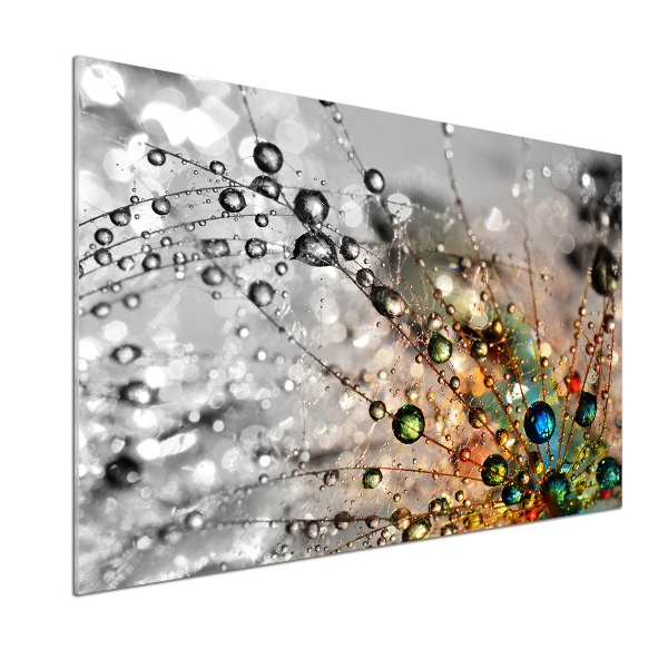 Glazen achterwand keuken Paardenbloemzaden