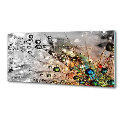 Glazen achterwand keuken Paardenbloemzaden