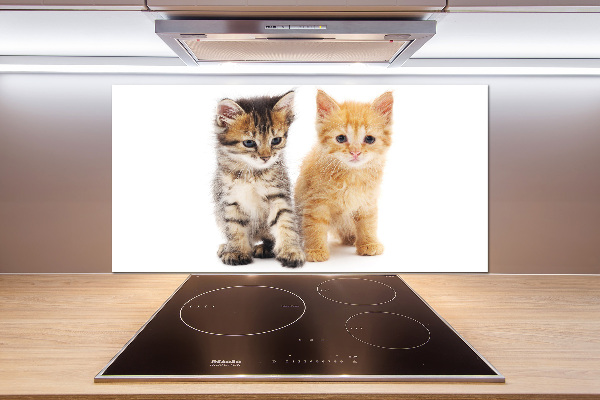 Achterwand keuken Bruine en rosse kat