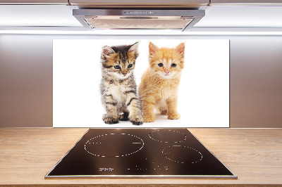 Achterwand keuken Bruine en rosse kat