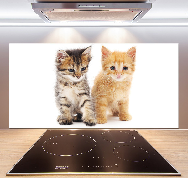Achterwand keuken Bruine en rosse kat